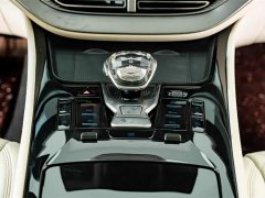 Denza BYD Denza D9 PIONEER Four-Seat Pioneer Edition - ფოტო 16