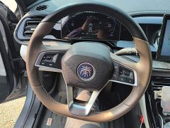 BYD Qin PLUS Glory Edition DM-i 55KM Leading - ფოტო 15