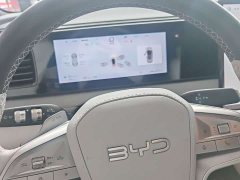 BYD Haima Sealion 06 DM-i 205 Pilot Pro - ფოტო 4