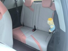 Chery Ant 2022 Sweet Pink Half-Sugar Phosphate Iron Lithium 30kW 301km - ფოტო 11