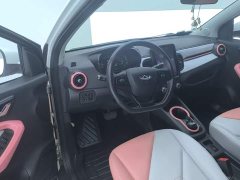 Chery Ant 2022 Sweet Pink Half-Sugar Phosphate Iron Lithium 30kW 301km - ფოტო 12