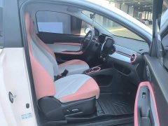 Chery Ant 2022 Sweet Pink Half-Sugar Phosphate Iron Lithium 30kW 301km - ფოტო 8