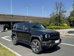 Beijing Jeep BJ40 Extended Range Advanced Edition - ფოტო 3