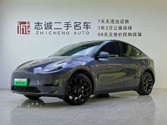 Tesla Model Y Long Range All-Wheel Drive - ფოტო 1