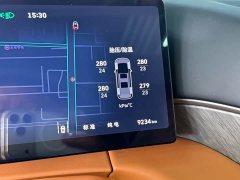 Great Wall Gaoshan 8 Hi4 - ფოტო 20