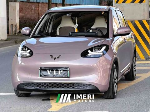 2023 Wuling Binguo 333km Quick Enjoy Edition