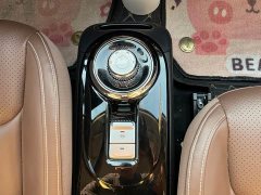 Wuling Binguo 333km Joy Edition - ფოტო 15