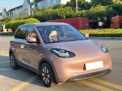 Wuling Binguo 333km Joy Edition - ფოტო 3