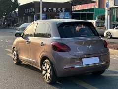 Wuling Binguo 333km Joy Edition - ფოტო 4