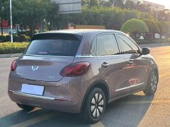 Wuling Binguo 333km Joy Edition - ფოტო 6