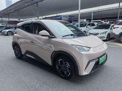BYD Seagull 2025 305km Freedom Edition - ფოტო 3