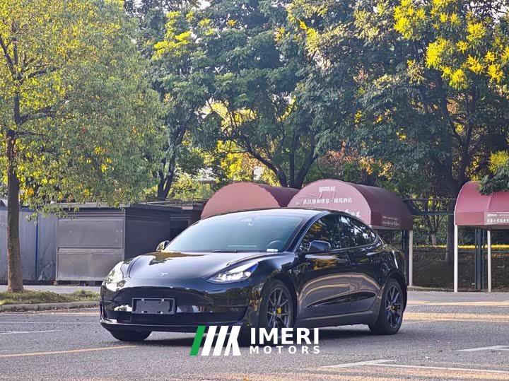 Tesla Model 3 Standard Range RWD Upgrade - ავტომობილი ჩინეთიდან
