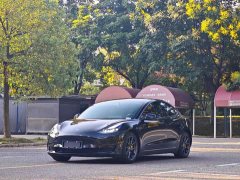 Tesla Model 3 Standard Range RWD Upgrade - ფოტო 1