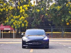 Tesla Model 3 Standard Range RWD Upgrade - ფოტო 2