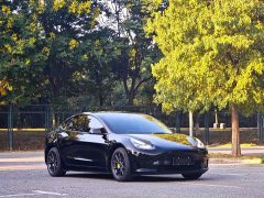 Tesla Model 3 Standard Range RWD Upgrade - ფოტო 3