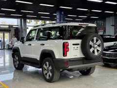 Beijing Jeep BJ40 Extended Range Long Endurance 201 Max - ფოტო 13