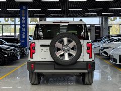 Beijing Jeep BJ40 Extended Range Long Endurance 201 Max - ფოტო 14