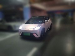 BYD Seagull 2023 Vitality Edition - ფოტო 1