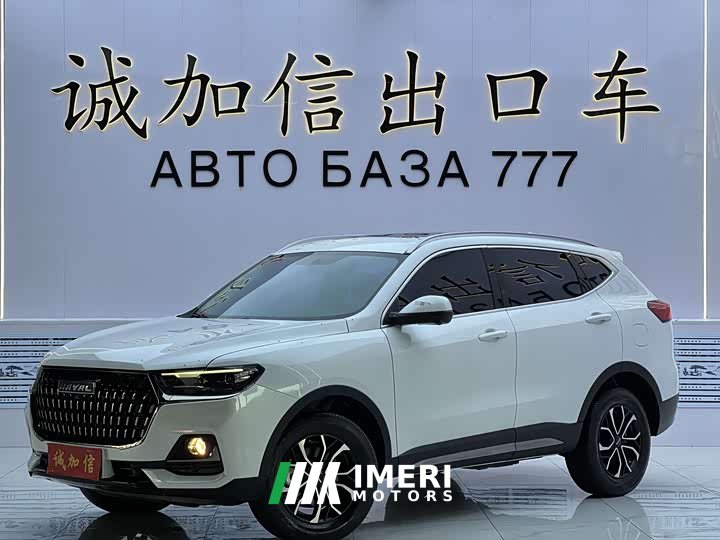 Haval H6 2023 National Trend Edition 1.5T Automatic Urban Version - ავტომობილი ჩინეთიდან