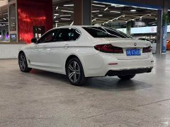 BMW 5 Series 530Li Leading Edition Luxury Package - ფოტო 10
