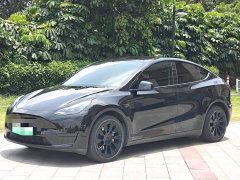 Tesla Model Y Rear-Wheel Drive - ფოტო 1
