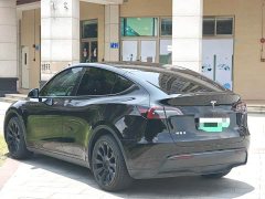 Tesla Model Y Rear-Wheel Drive - ფოტო 12