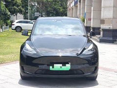 Tesla Model Y Rear-Wheel Drive - ფოტო 2