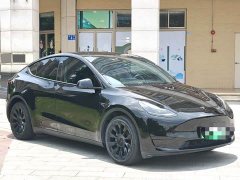 Tesla Model Y Rear-Wheel Drive - ფოტო 3