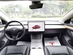 Tesla Model 3 Rear-Wheel Drive - ფოტო 19