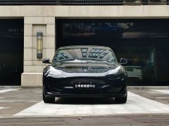 Tesla Model 3 Rear-Wheel Drive - ფოტო 3