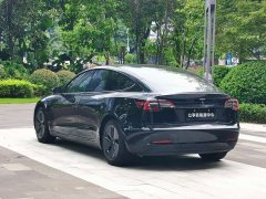 Tesla Model 3 Rear-Wheel Drive - ფოტო 8