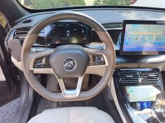 BYD Qin PLUS Champion Edition DM-i 55KM Leading - ფოტო 6