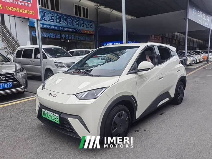 BYD Seagull Glory Edition 305km Vitality Version - ავტომობილი ჩინეთიდან