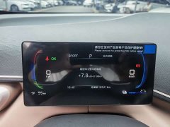 BYD Seagull Glory Edition 305km Vitality Version - ფოტო 11