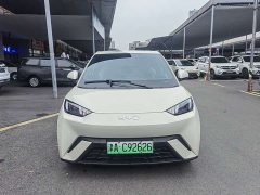 BYD Seagull Glory Edition 305km Vitality Version - ფოტო 2