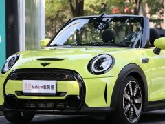 BMW MINI 2.0T COOPER S CABRIO Artist - ფოტო 8