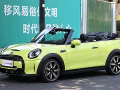 BMW MINI 2.0T COOPER S CABRIO Artist - ფოტო 9