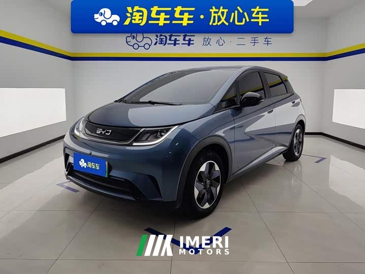 BYD Dolphin 420km Freedom Edition - ავტომობილი ჩინეთიდან