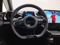 BYD Dolphin 420km Freedom Edition - ფოტო 15