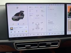 Li Auto L9 2022 Max - ფოტო 11