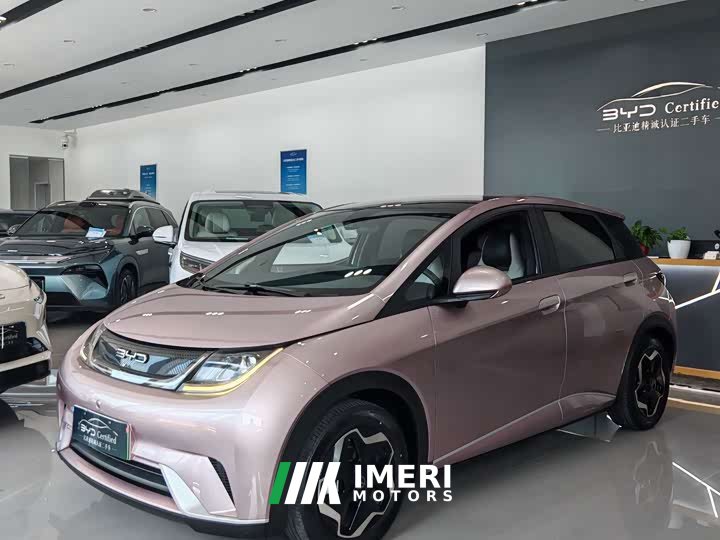 BYD Dolphin 405km Fashion Edition - ავტომობილი ჩინეთიდან