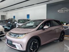 BYD Dolphin 405km Fashion Edition - ფოტო 1
