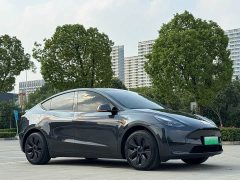 Tesla Model Y 2024 Rear-Wheel Drive - ფოტო 12