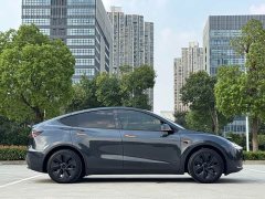 Tesla Model Y 2024 Rear-Wheel Drive - ფოტო 15