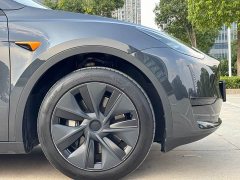 Tesla Model Y 2024 Rear-Wheel Drive - ფოტო 16