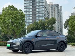 Tesla Model Y 2024 Rear-Wheel Drive - ფოტო 17