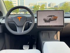 Tesla Model Y 2024 Rear-Wheel Drive - ფოტო 18