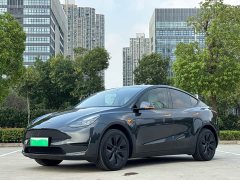 Tesla Model Y 2024 Rear-Wheel Drive - ფოტო 2