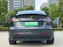 Tesla Model Y 2024 Rear-Wheel Drive - ფოტო 4