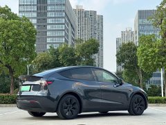 Tesla Model Y 2024 Rear-Wheel Drive - ფოტო 5